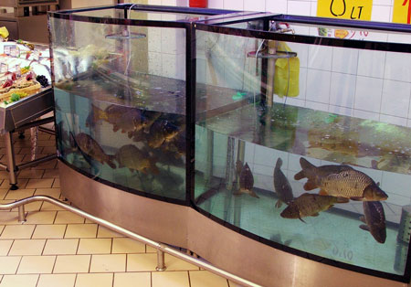 Fish tank in supermarket